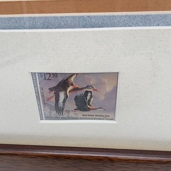 James Hautman 1990 Federal Duck Stamp Print With Stamp Whistling Tree Ducks 1989 - Picture 7 of 13